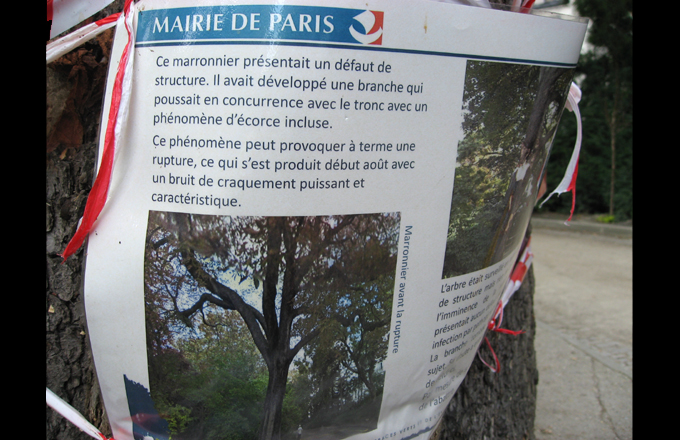 Affichette de la ville de Paris, sept. 2015 (photo Forestopic)