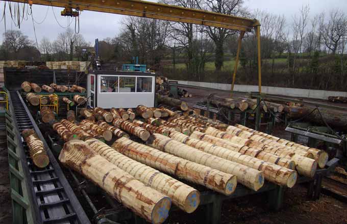 Le groupe Ducerf, première scierie à contractualiser avec l’ONF pour le chêne en Bourgogne