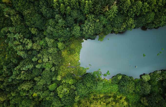 EcoTree lève 12 millions d’euros et veut booster tous les services écosystémiques de la forêt