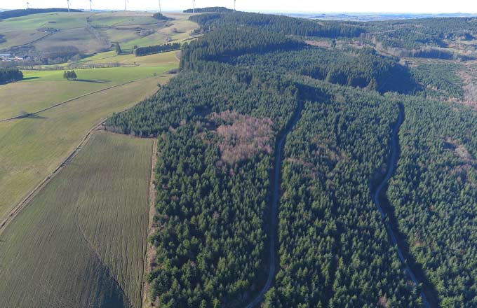 France Valley vient d’acquérir 450 hectares de forêts en Occitanie (crédit photo: France Valley)