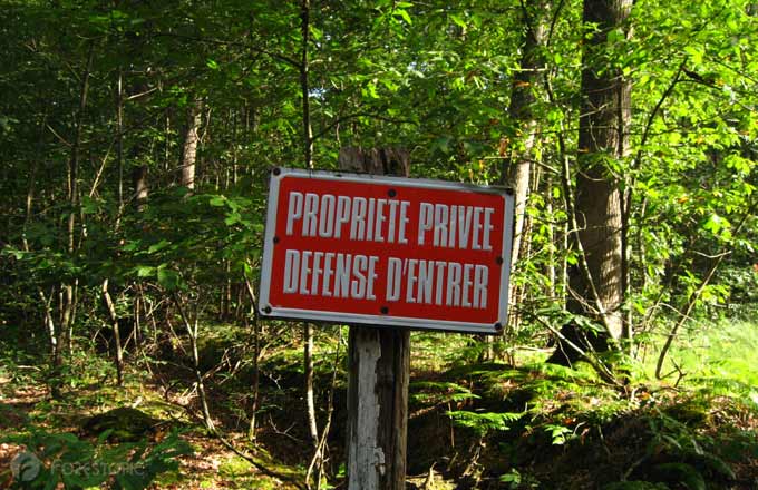 La France compte quelque 3,3 millions de propriétaires forestiers privés (crédit photo: CC/Forestopic)