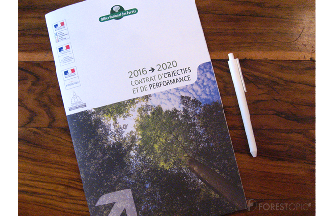 Contrat COP 2016-2020 de l'Office national des Forêt (ONF) – crédit photo: Forestopic
