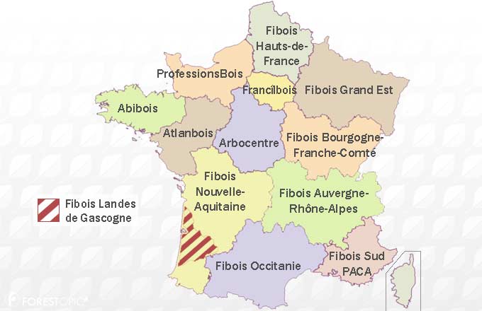 Réseau France Bois Régions et Fibois Landes de Gascogne (infographie Forestopic; fond de carte IGN)