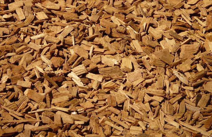Six usines de la filière bois optent pour la biomasse (BCIAT 2016)