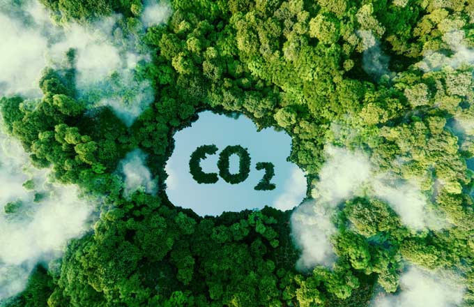 La filière forêt-bois veut une révision de sa trajectoire carbone, vu une étude de Carbone 4