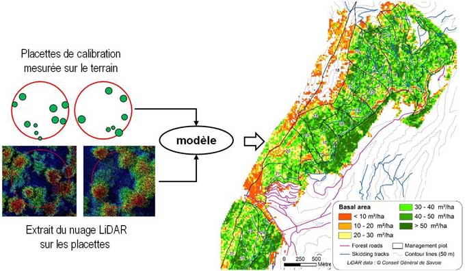 Évaluation de la dimension des arbres et du volume de leur bois