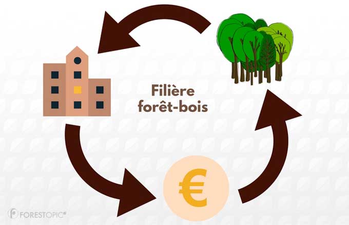 Financer la filiere foret-bois