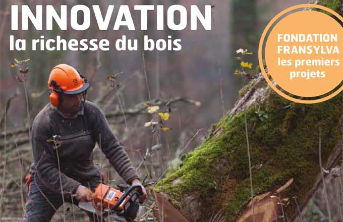 Des innovations emblématiques pour la forêt et le bois