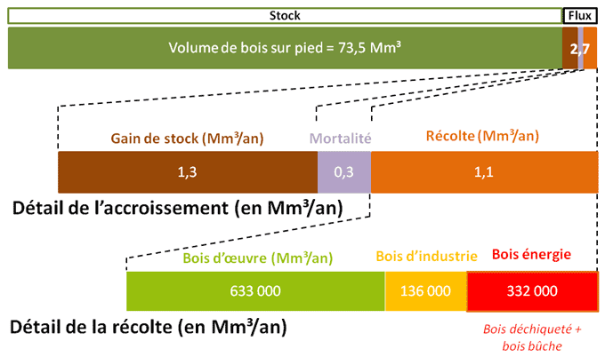 Bilan des flux de bois en Bretagne (source: IGN)