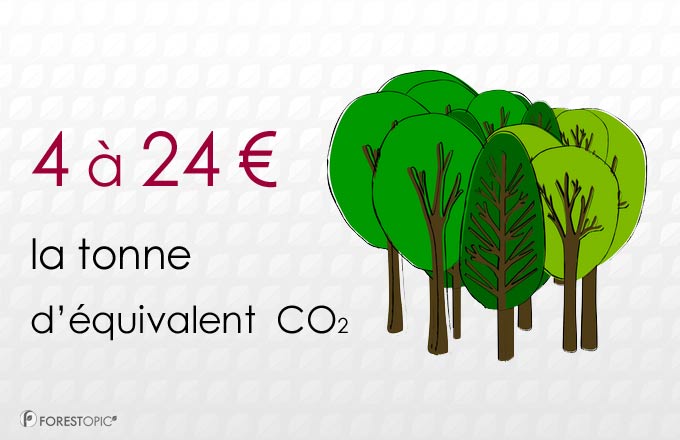 La compensation carbone volontaire enregistre des prix de 4 à 24 euros par teq CO2 en 2015