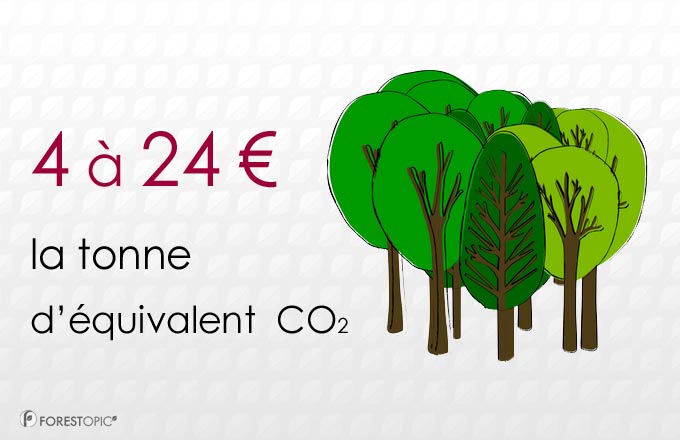 Forêt et compensation carbone: un marché en devenir (étude I4CE)