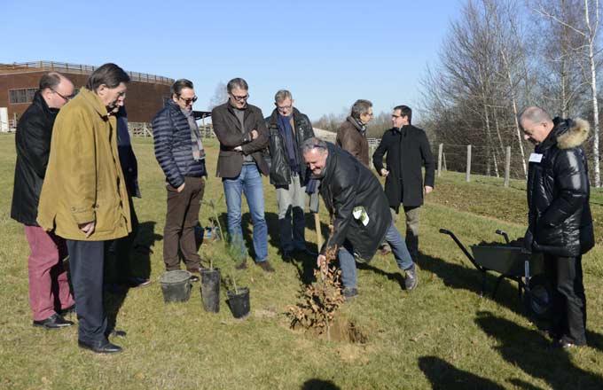 Un fonds se crée dans le Limousin pour pérenniser la forêt