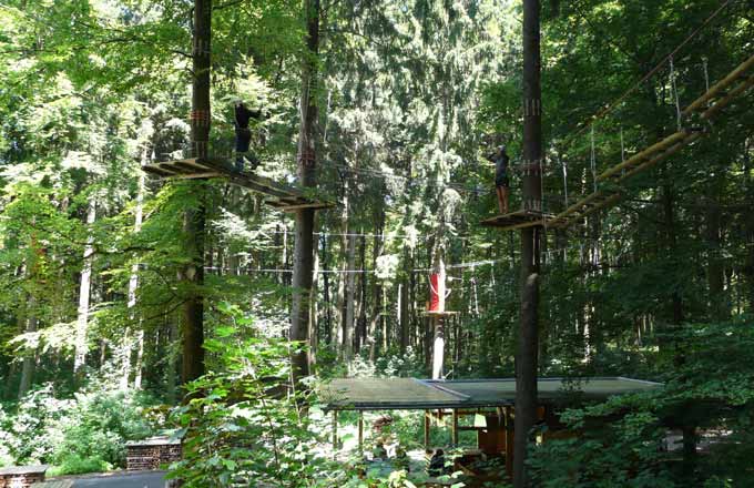 La forêt, lieu de survie, lieu de loisirs