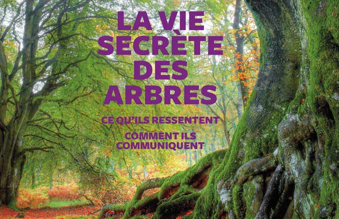 Extrait de la couverture du livre La vie secrète des arbres