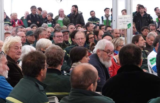 Le manifeste de Tronçais demande un débat public sur la forêt française