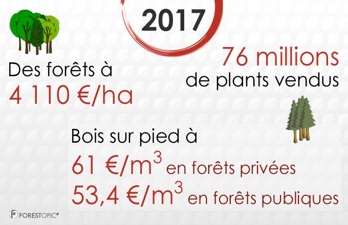 Chiffres moyens sur le prix des forêts, la mise en marché de plants forestiers et le prix des bois sur pied. Les indicateurs sur les prix des bois ne prennent pas en compte les mêmes essences, selon qu’ils portent sur les forêts privées ou publiques