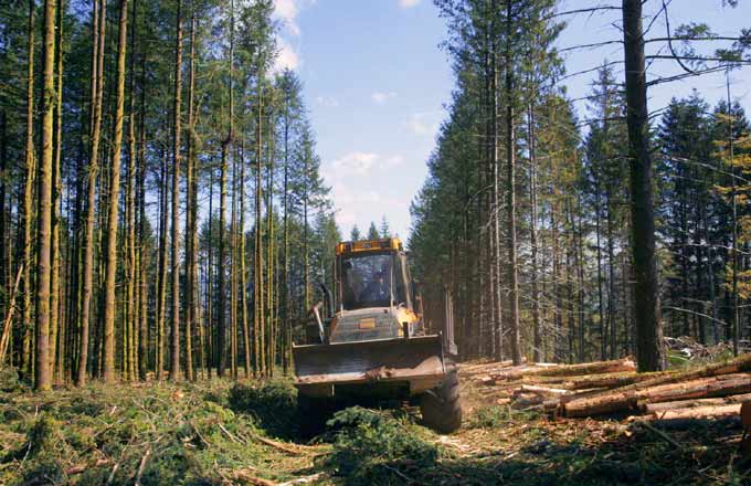 Sortie du film Le Temps des forêts. Un nouveau temps pour le débat