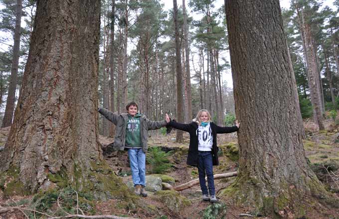 Une plus grande pédagogie à l’égard de la société s’impose au forestier d’aujourd’hui