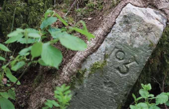 Extrait de la couverture de Forêts de France de janvier-février 2018