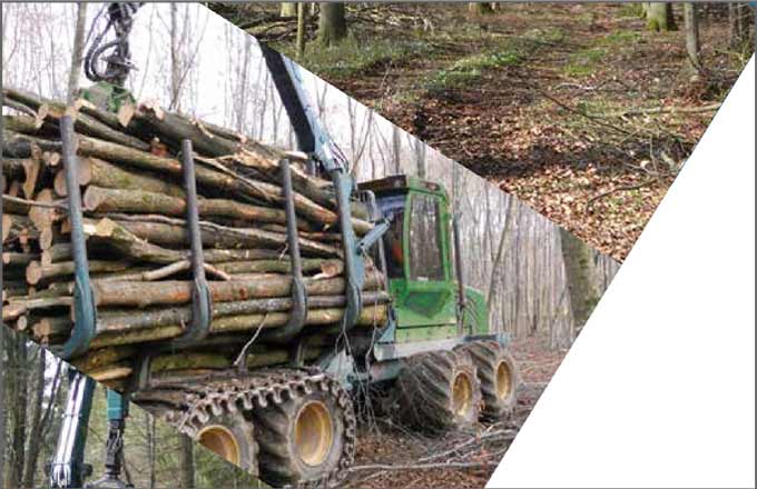Un guide pour conjuguer respect des sols et productivité lors des travaux forestiers