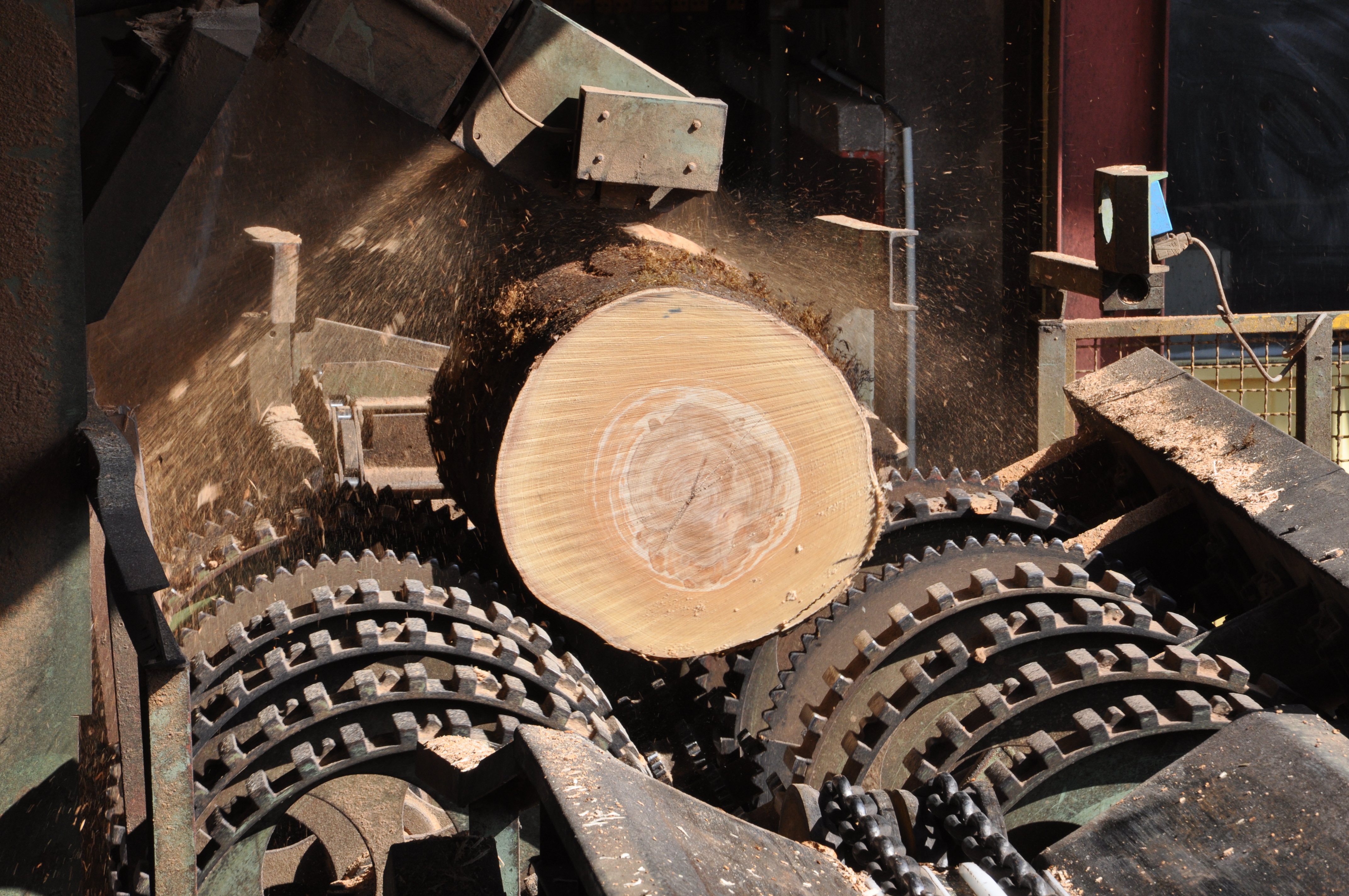 Le CIB est l’occasion de revenir sur les relations commerciales entre les producteurs du bois et leurs utilisateurs de la première transformation