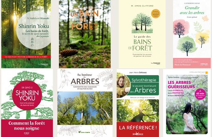 Au moins une petite vingtaine d’ouvrages sont parus en 2018 sur la sylvothérapie et le bien-être avec les arbres et la forêt