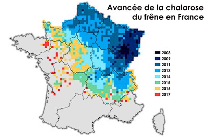 Détection de la chalarose du frêne en France de 2008 à 2017 (crédit de l’illustration: département de la Santé des forêts MAA/SDQSPV)