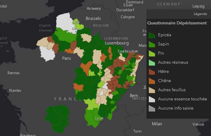 Forêt et changement climatique: une feuille de route en préparation avec six coprésidents