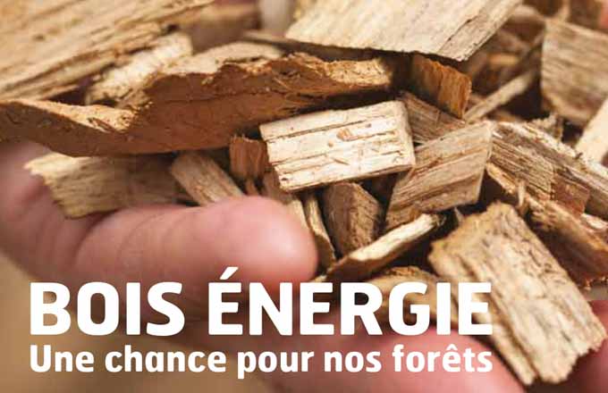 Extrait de la couverture de Forêts de France d’octobre 2019. Bois énergie