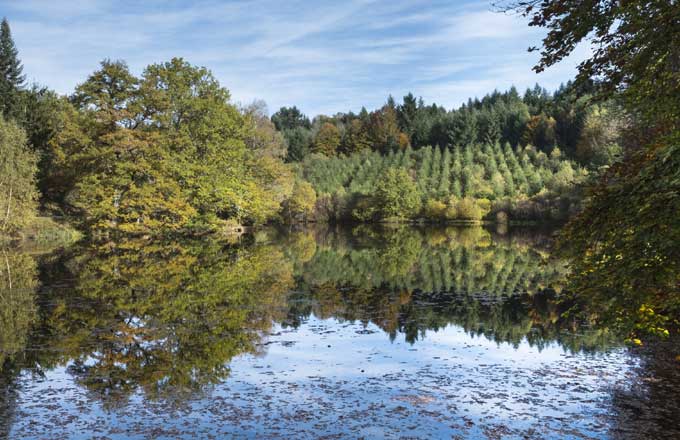 Paysage de la Creuse