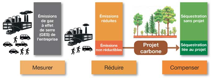 La compensation carbone volontaire est un mécanisme de financement par lequel une entreprise, après avoir réduit ses gaz à effet de serre (GES), compense une quantité de GES non réductibles par la séquestration d’une quantité équivalente en un autre lieu (crédit de l’illustration: CNPF-IDF)