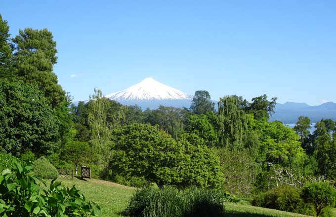 Après la déforestation, quand la forêt repousse par régénération naturelle ou par plantation