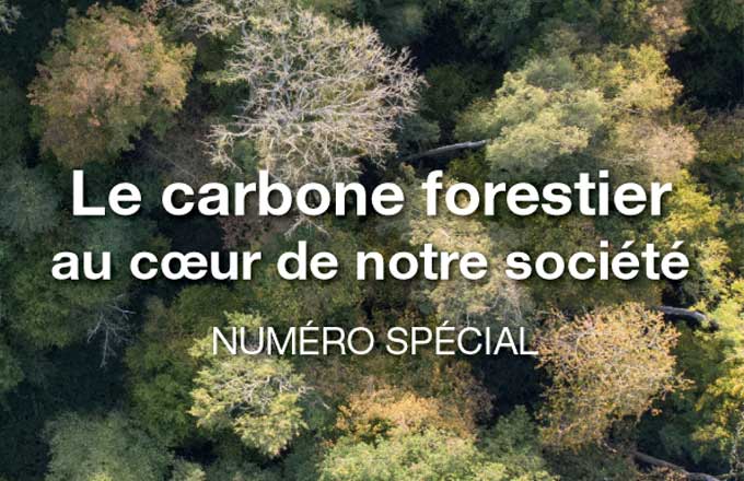 Extrait de la couverture de Forêt entreprise n° 245, paru en mars 2019