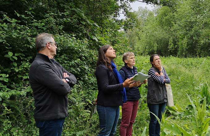 Visite d’une peupleraie dans l’Oise, en juin 2020. De gauche à droite, Olivier Fossé (président de Fibois Hauts-de-France), Anne-Laure Cattelot (députée du Nord), Gaëlle Bruté de Rémur (experte forestière), Marie Pillon (déléguée générale de Fransylva Hauts-de-France)