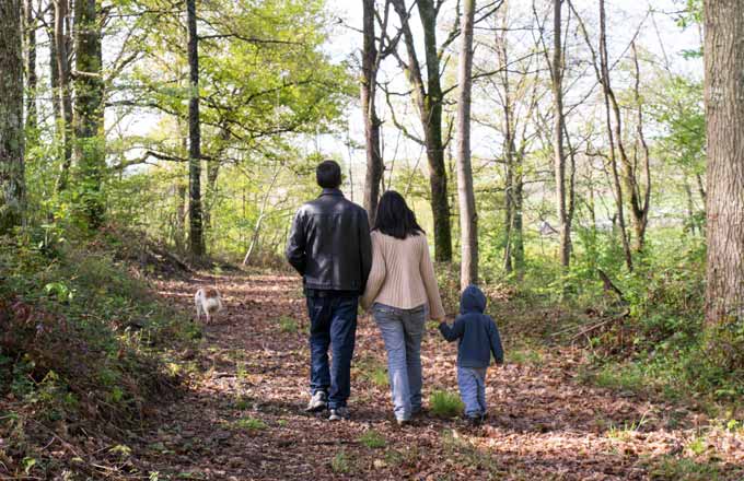 L’établissement de conventions de passage peut être utile pour accueillir le public en forêt (crédit photo: Louis Amandier/CNPF)