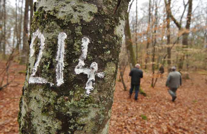 Quand la complexité de la forêt s’apprend sur le terrain (crédit photo: Pascal Charoy)