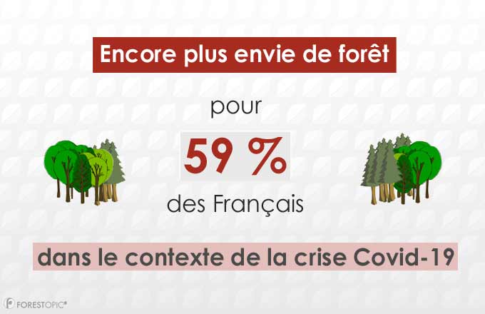 Source : sondage ViaVoice pour l’ONF, février 2021. Infographie Forestopic