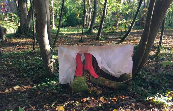 Exposition photo par l’association Ascencio à Auvers-Saint-Georges lors du festival 2021 des forêts en Île-de-France (photo: droits réservés)