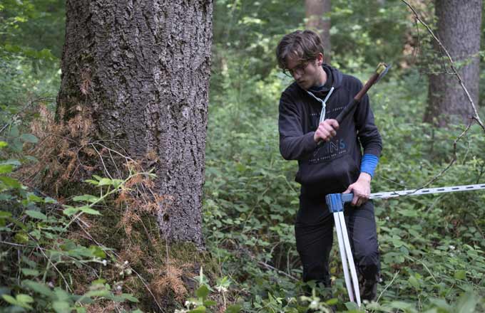 La forêt compte des métiers en tension, tel celui de planteur (crédit photo: Sylvain Gaudin/CNPF)