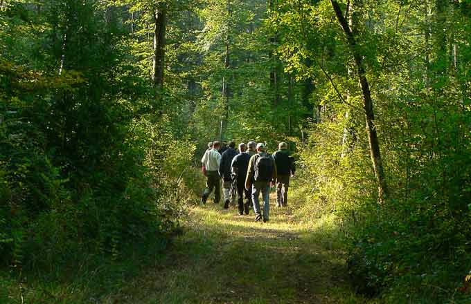 Tournée forestière du département de la Santé des forêts (crédit photo : Jacques Degenève/CNPF)