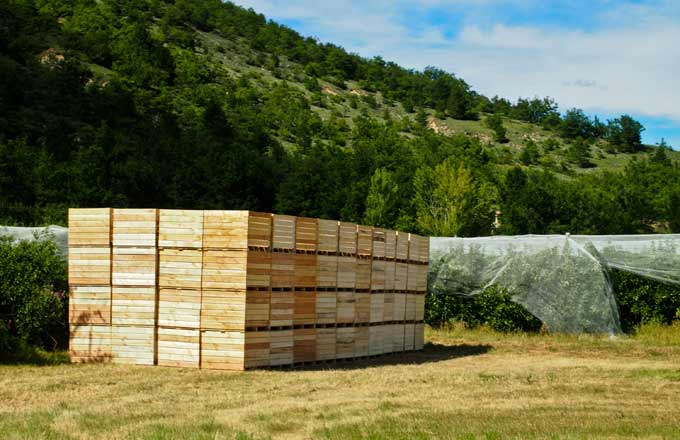 Palox fabriqués à partir de palettes en mélèze (crédit photo: Gilles Bossuet/CNPF)