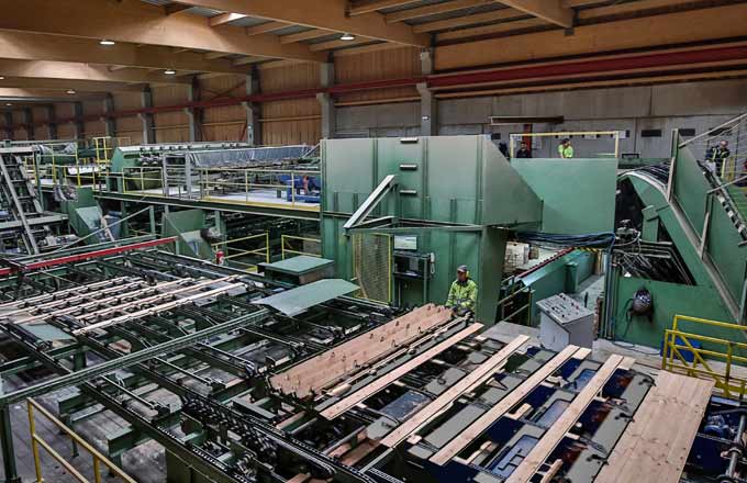 Ligne de tri de la scierie Fruytier en Bourgogne (crédit photo: Pascal Charoy)