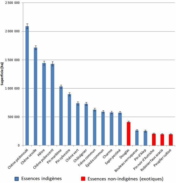 Place des exotiques parmi les essences forestières françaises (en surface). À la partie supérieure des colonnes, figurent les intervalles de confiance. Source : Inventaire forestier de l’IGN, campagnes 2009 à 2020