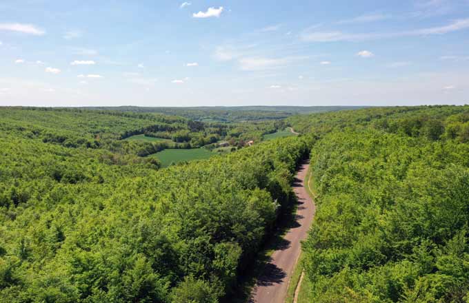 Vue sur le parc national de forêts (crédit photo: Rozenn Krebel)