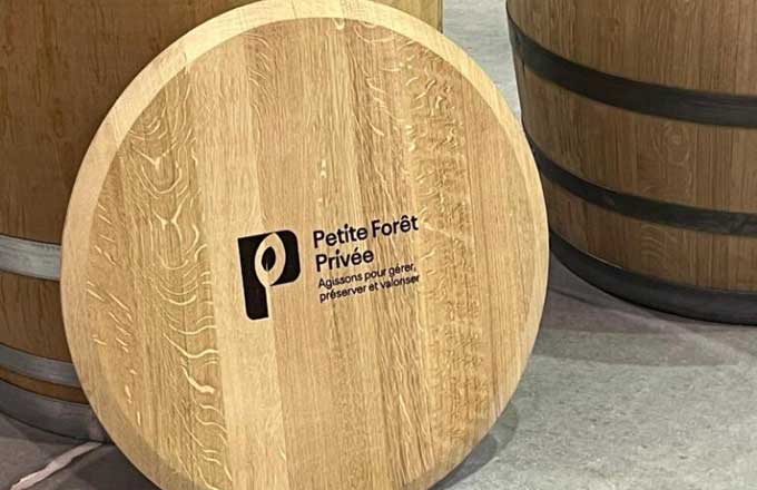 Le programme « Petite Forêt privée » veut pallier le morcellement forestier (photo: droits réservés)