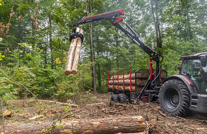 Remorque pour le débardage (photo: droits réservés)