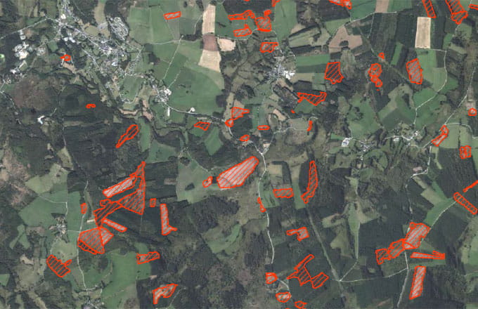 Vue satellite dans le Limousin. En rouge hachuré, les «coupes rases» détectées par Canopée entre mi-2018 et mi-2024 (crédit de l’illustration: Canopée)