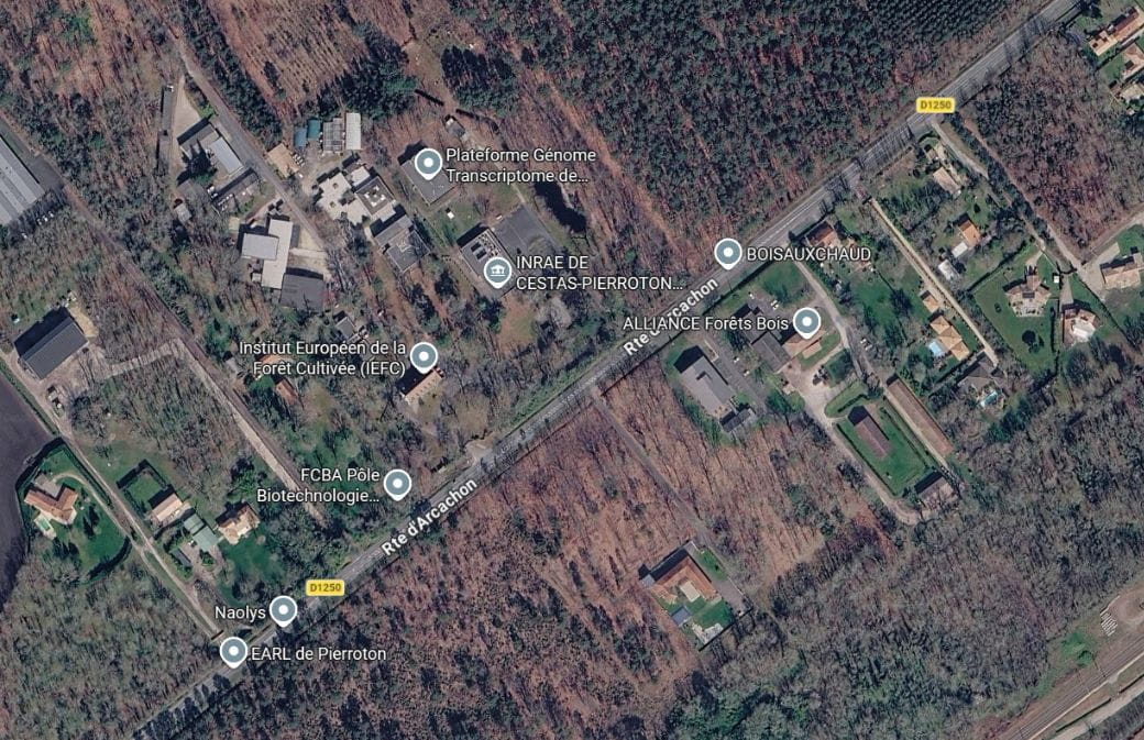 Cestas-Pierroton, vue satellite (crédit: Images 2026 Airbus, Maxar Technologies, données cartographiques 2026 Google)