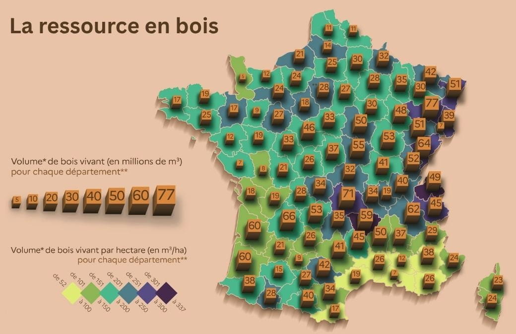 Volumes de bois vivant en France hexagonale et Corse, 2025. Source: Observatoire des forêts françaises. Crédit: Atelier de cartographie thématique de l’IGN. * Volume estimé d’après un résultat statistique. ** Les volumes de Paris, des Yvelines, de l’Essonne, des Hauts-de-Seine, de Seine-Saint-Denis, du Val-de-Marne et du Val-d’Oise, ont été regroupés.