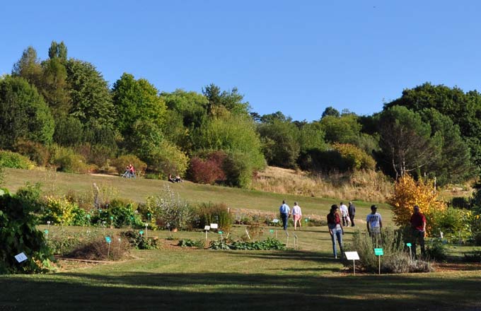 Le projet «Des hommes et des arbres» comprend une forêt expérimentale scientifique au jardin botanique de Nancy